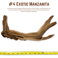 Exotic Manzanita | WYSIWYG Pieces