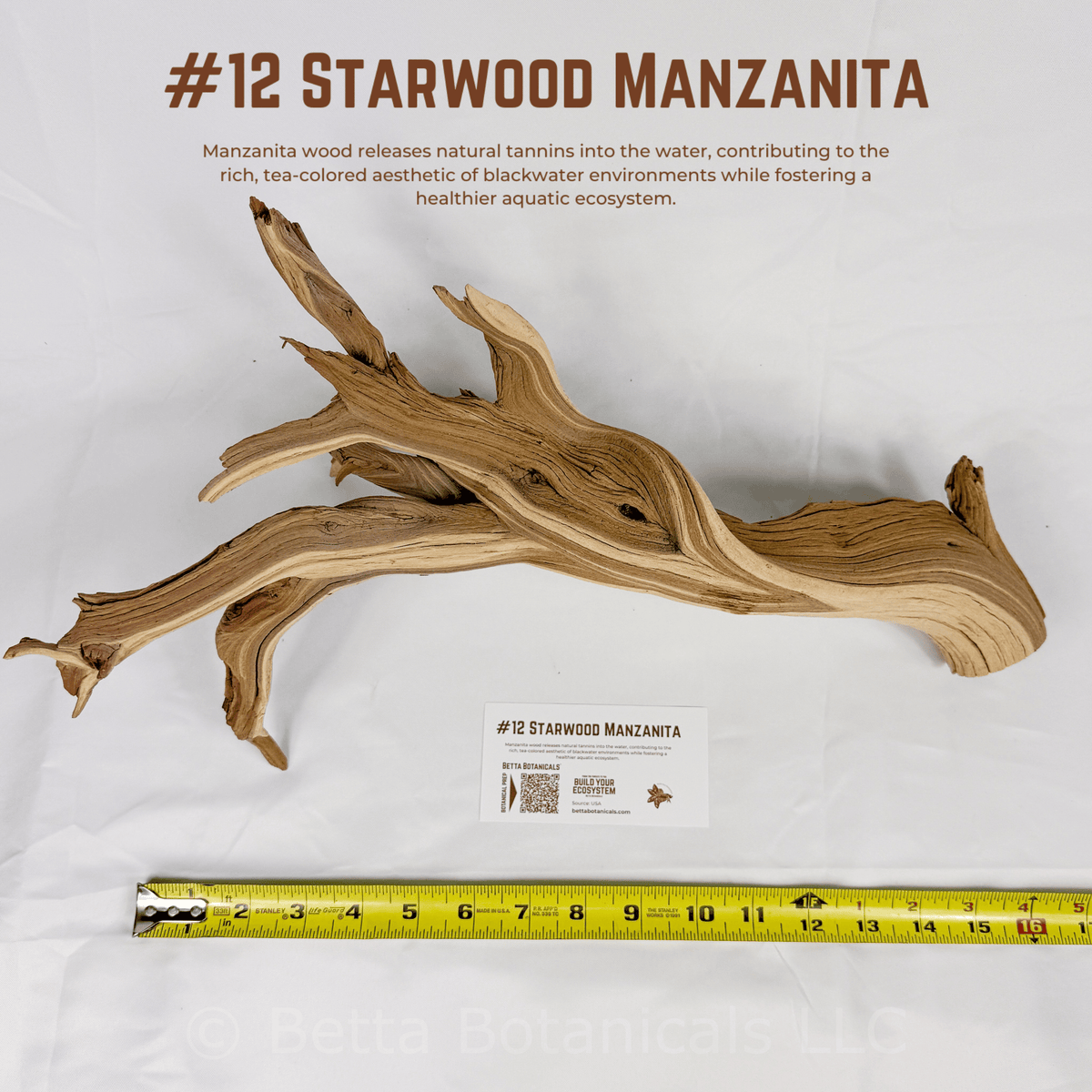 'Starwood' Manzanita | WYSIWYG Pieces