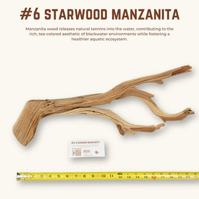 Starwood Manzanita | WYSIWYG Pieces