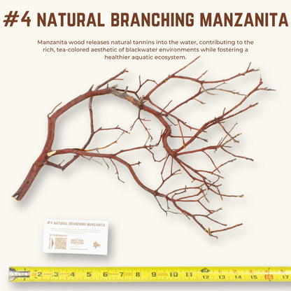 Natural Branching Manzanita | WYSIWYG Pieces