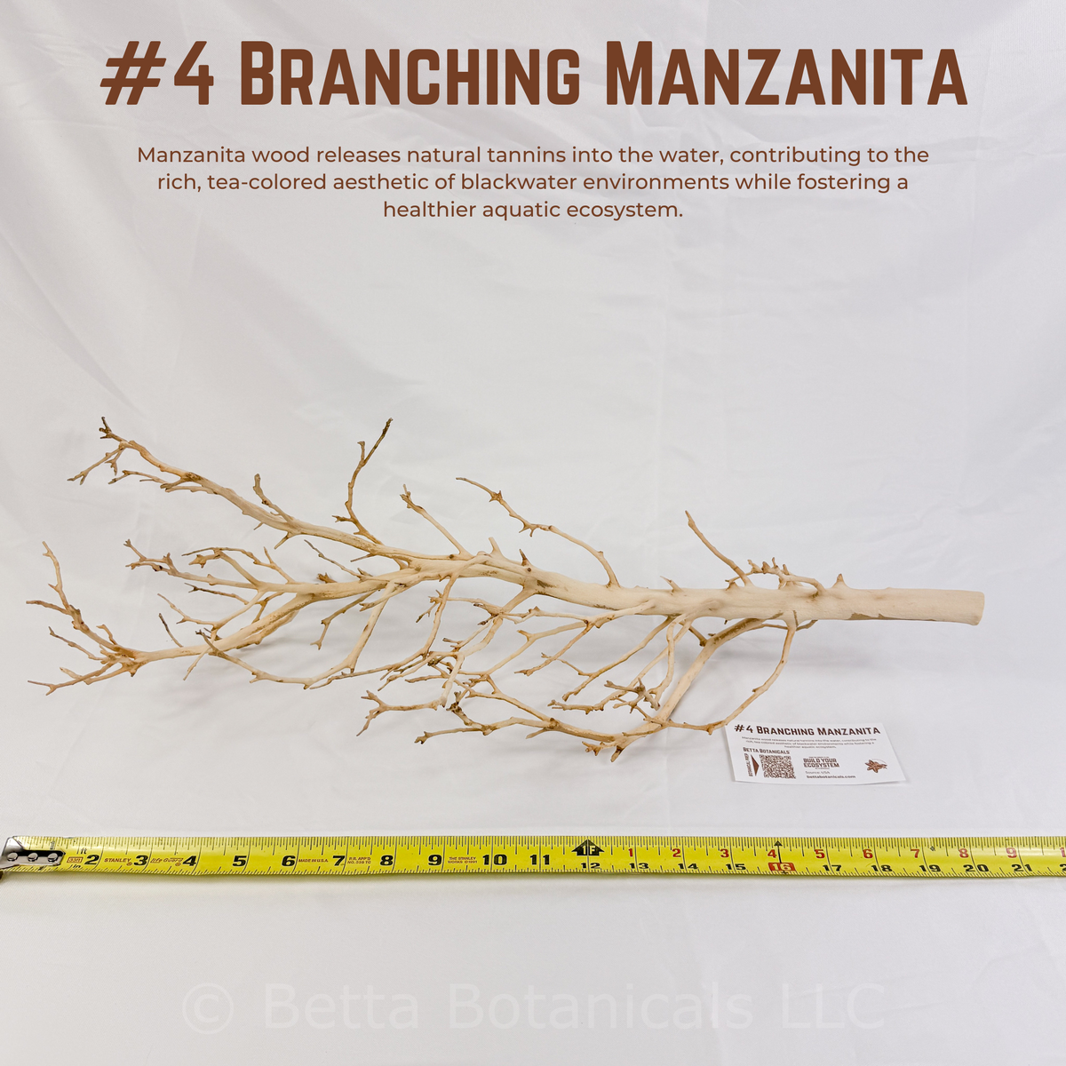 Branching Manzanita | WYSIWYG Pieces