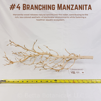 Branching Manzanita | WYSIWYG Pieces