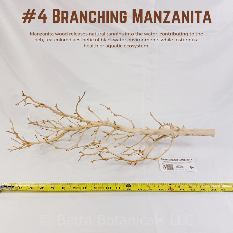 Branching Manzanita | WYSIWYG Pieces