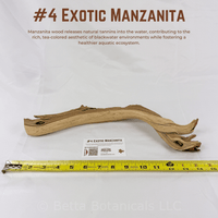 Exotic Manzanita | WYSIWYG Pieces