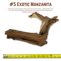 Exotic Manzanita | WYSIWYG Pieces