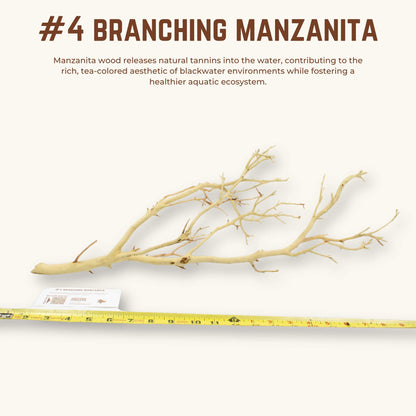Branching Manzanita | WYSIWYG Pieces