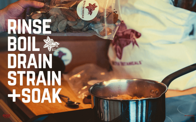 A bag of Betta Botanicals leaf litter being used to prepare botanicals for aquarium use, with a pot on the stove and clear preparation steps in bold text.