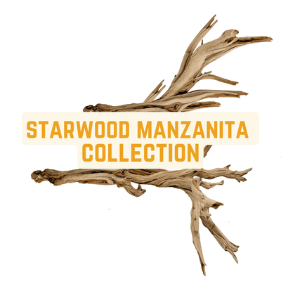 A selection of WYSIWYG Manzanita wood pieces for aquascaping blackwater, biotope and botanical method aquariums at Betta Botanicals.