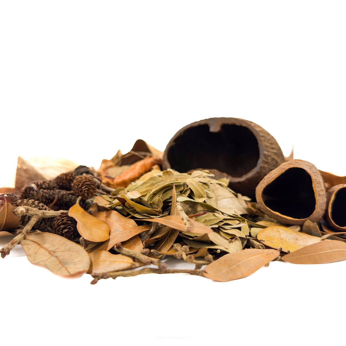 A front photo of brown, black, green, and red leaf litter and seed pods showing pod heights for a Trevor Project Fundraiser at Betta Botanicals.