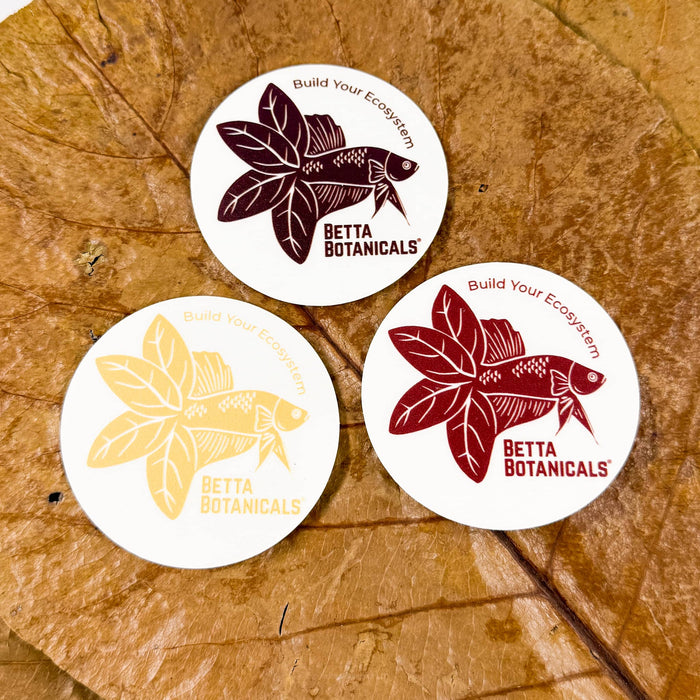 A trio of aquarium static clings in brown, butter and maroon colors laid on top of brown catappa leaves for blackwater aquariums and bioactive enclosures at Betta Botanicals.