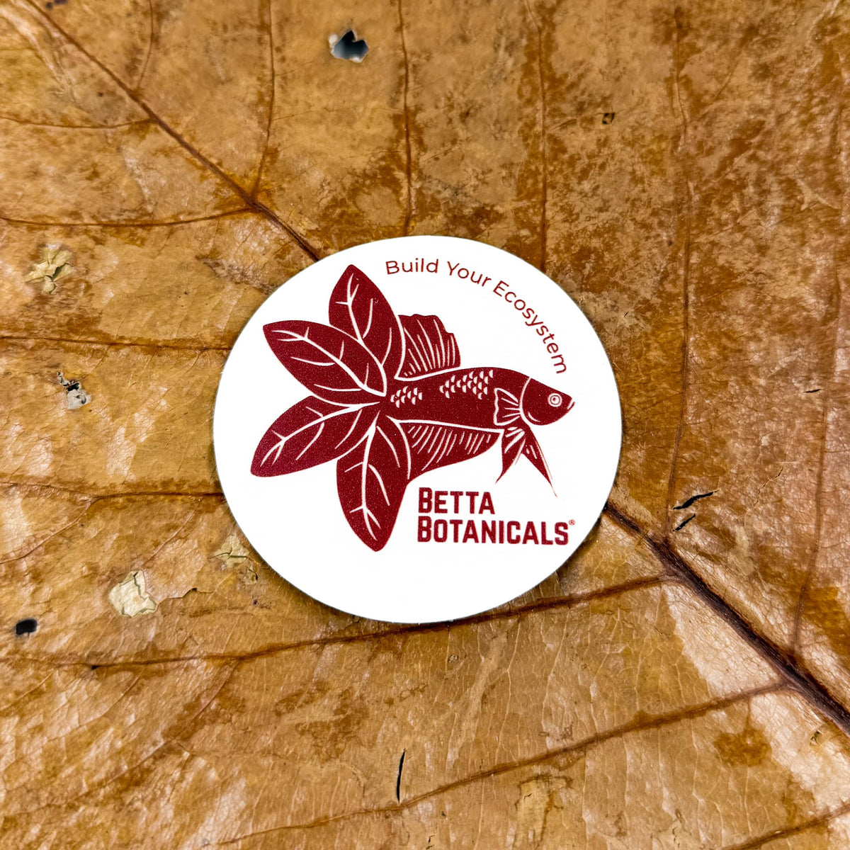 An aquarium static clings in maroon colors laid on top of brown catappa leaves for blackwater aquariums and bioactive enclosures at Betta Botanicals.