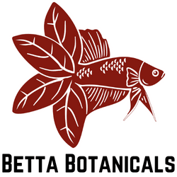 Betta fish body with leaf litter for fins depicting the brand logo for betta botanicals.