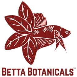 A maroon betta fish with aquatic botanicals for a tail, creating the Betta Botanicals brand logo and trade mark.