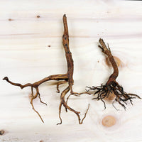 A large and medium borneo root side by size against a pine wood background at Betta Botanicals.