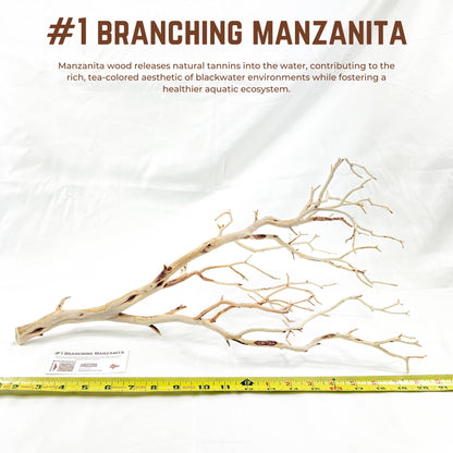 Branching Manzanita | WYSIWYG Pieces