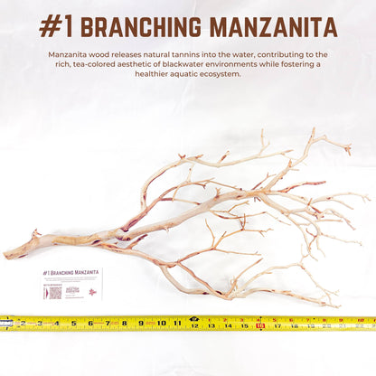 Branching Manzanita | WYSIWYG Pieces