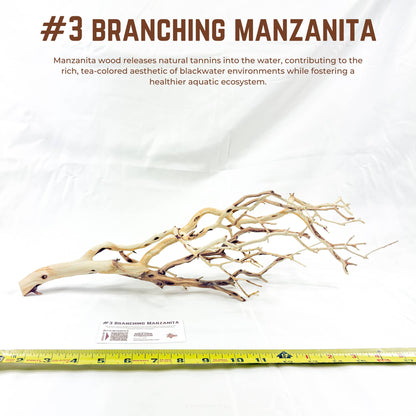 Branching Manzanita | WYSIWYG Pieces