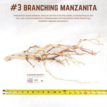 Branching Manzanita | WYSIWYG Pieces