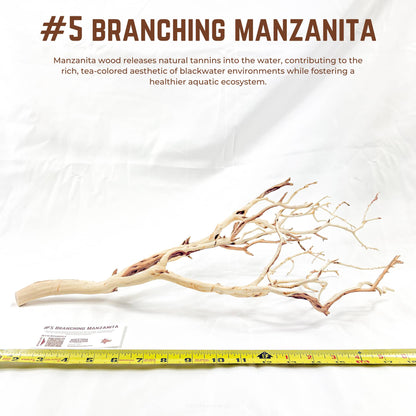 Branching Manzanita | WYSIWYG Pieces