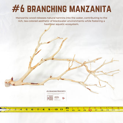 Branching Manzanita | WYSIWYG Pieces