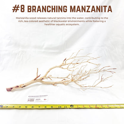 Branching Manzanita | WYSIWYG Pieces