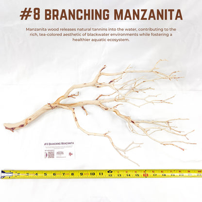 Branching Manzanita | WYSIWYG Pieces