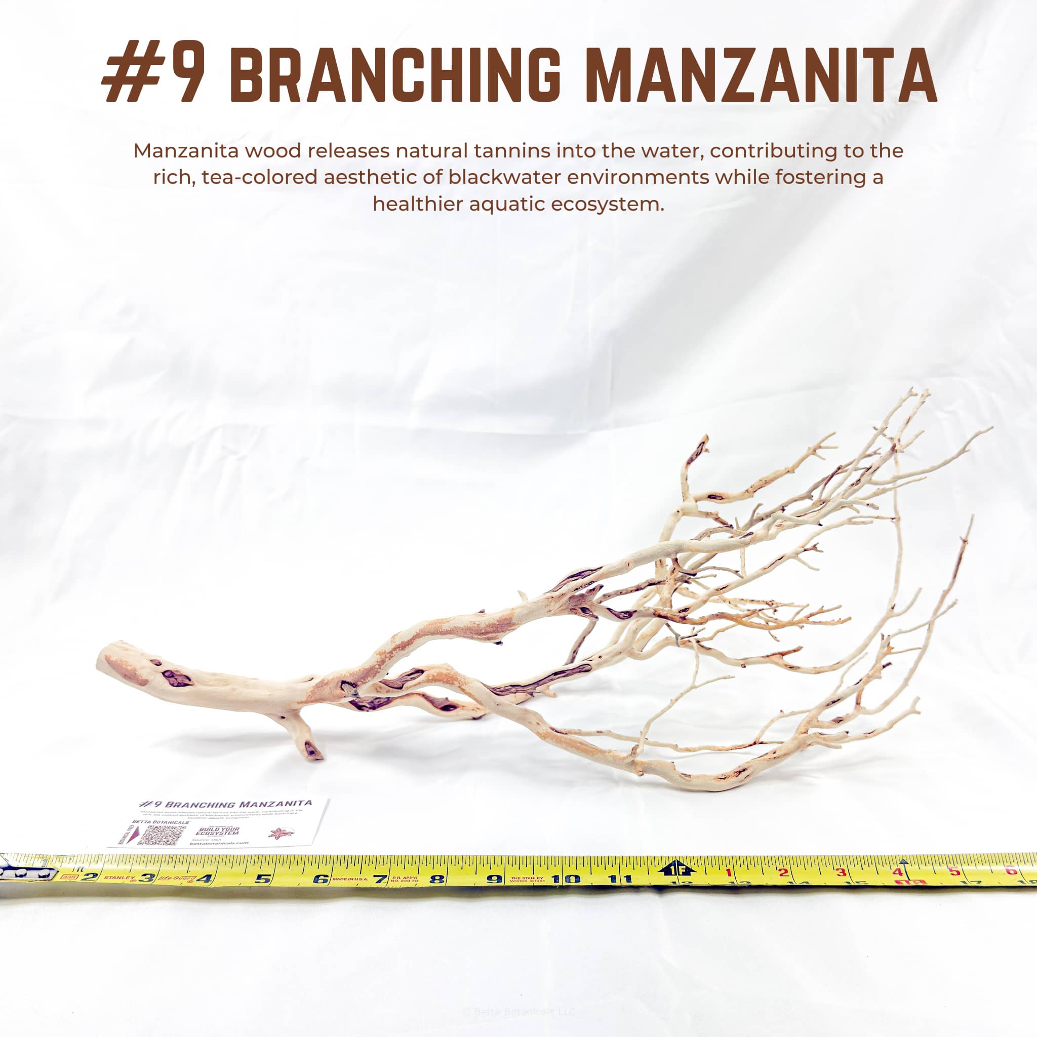 Branching Manzanita | WYSIWYG Pieces