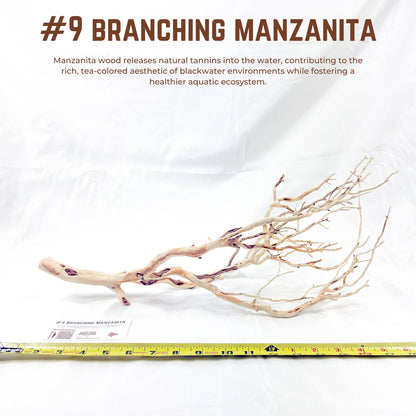 Branching Manzanita | WYSIWYG Pieces