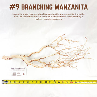 Branching Manzanita | WYSIWYG Pieces