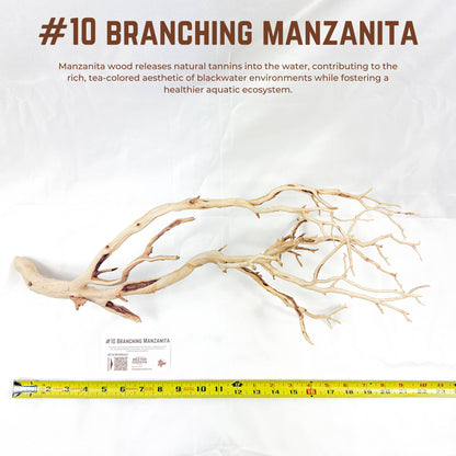 Branching Manzanita | WYSIWYG Pieces