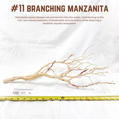 Branching Manzanita | WYSIWYG Pieces