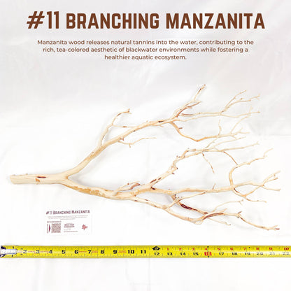 Branching Manzanita | WYSIWYG Pieces