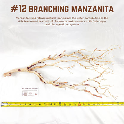Branching Manzanita | WYSIWYG Pieces