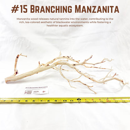 Branching Manzanita | WYSIWYG Pieces