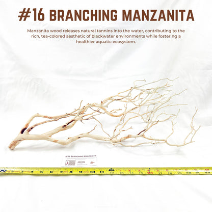 Branching Manzanita | WYSIWYG Pieces
