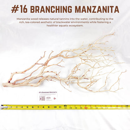 Branching Manzanita | WYSIWYG Pieces