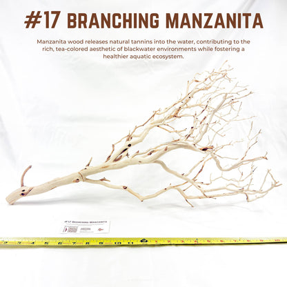 Branching Manzanita | WYSIWYG Pieces