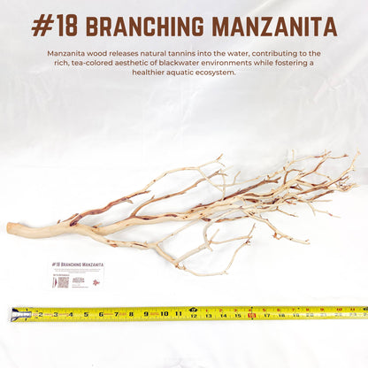 Branching Manzanita | WYSIWYG Pieces