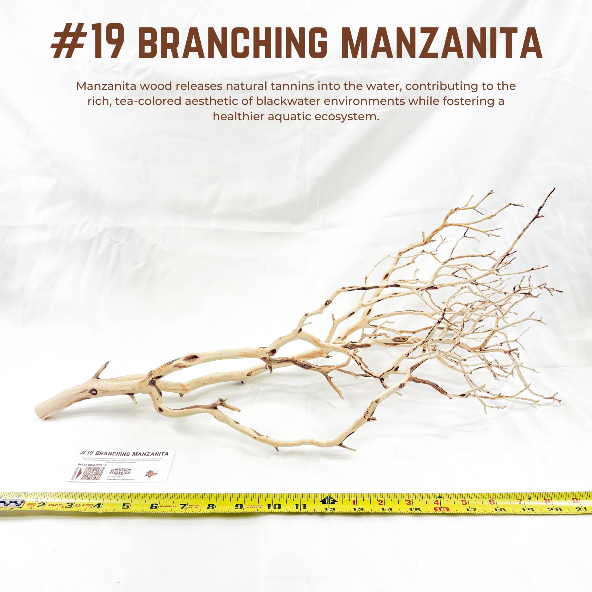 Branching Manzanita | WYSIWYG Pieces