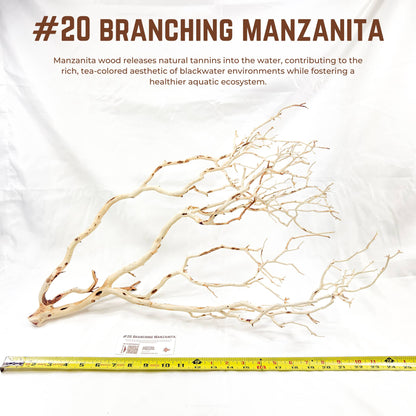 Branching Manzanita | WYSIWYG Pieces
