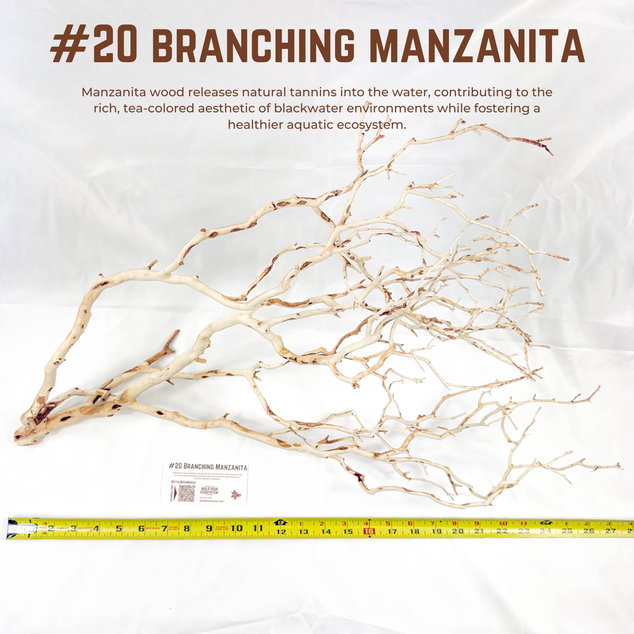 Branching Manzanita | WYSIWYG Pieces