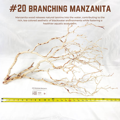 Branching Manzanita | WYSIWYG Pieces