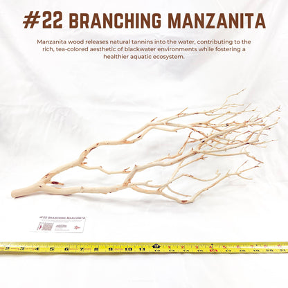 Branching Manzanita | WYSIWYG Pieces