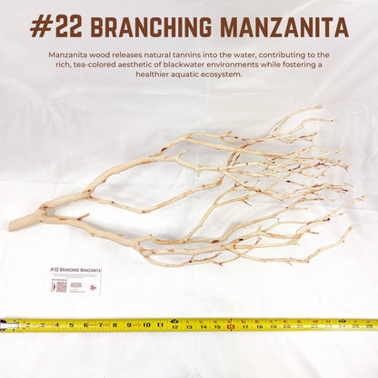 Branching Manzanita | WYSIWYG Pieces