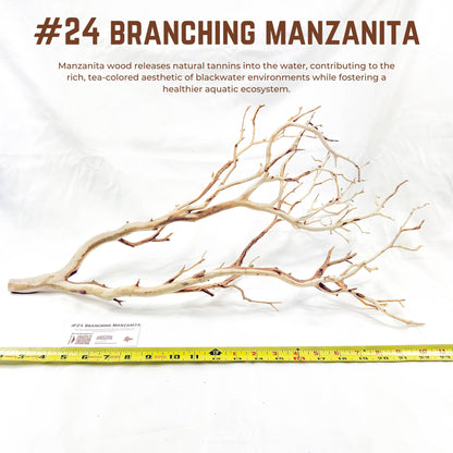 Branching Manzanita | WYSIWYG Pieces