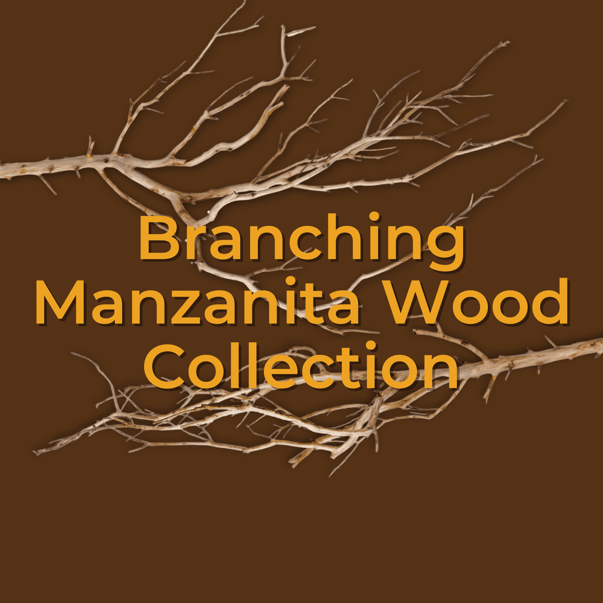 Branching Manzanita | WYSIWYG Pieces