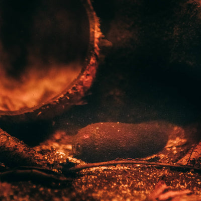 A brown and long cariniana seed pod for blackwater biotope aquariums at Betta Botanicals for aquarium fish.