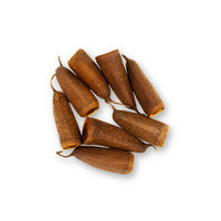 Cariniana savu trumpet pods arranged in a circular cluster, photographed on a white background for blackwater aquarium use at Betta Botanicals.