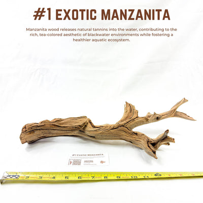 Exotic Manzanita | WYSIWYG Pieces