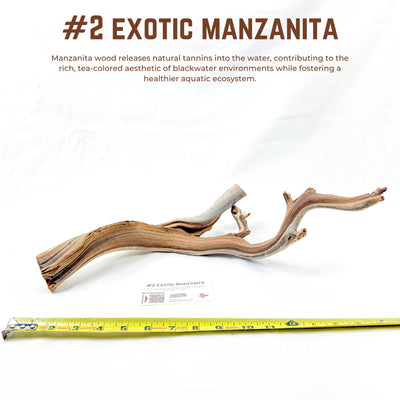 Exotic Manzanita | WYSIWYG Pieces
